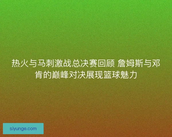 热火与马刺激战总决赛回顾 詹姆斯与邓肯的巅峰对决展现篮球魅力